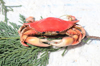 Authentic Red Crab Christmas Ornament on Gold String