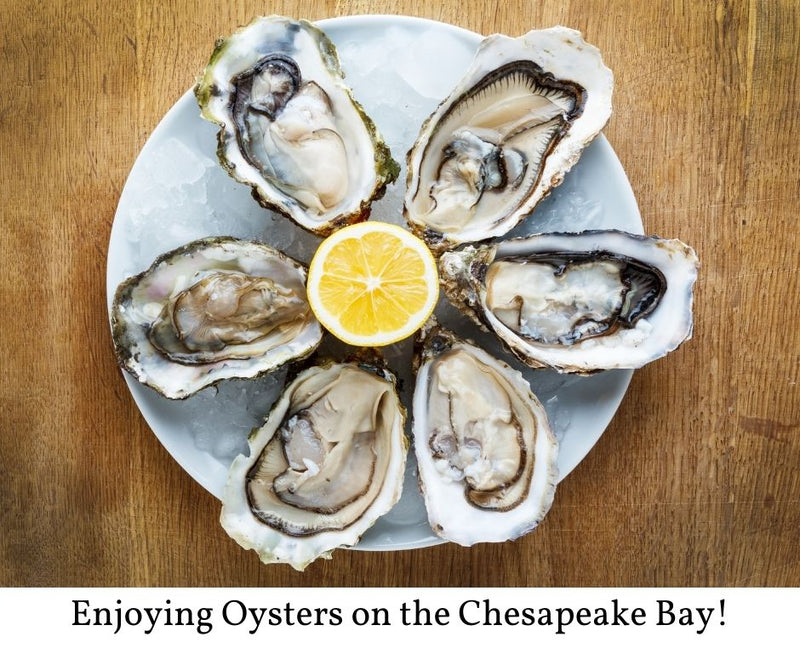 Enjoying Oysters on the Chesapeake Bay!