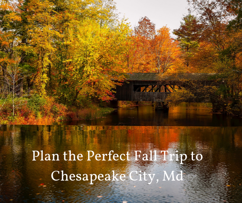 Plan the Perfect Fall Trip to Chesapeake City, Md