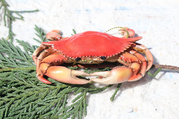 Authentic Red Crab Christmas Ornament on Gold String
